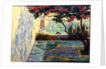 Cat in a Mexican Garden by Robert Tyndall