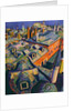 Islamic Roofs by Robert Tyndall