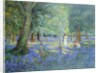 Bluebell Wood, 1908 by Robert Tyndall