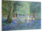Bluebell Wood, 1908 by Robert Tyndall