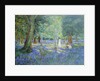 Bluebell Wood, 1908 by Robert Tyndall