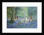Bluebell Wood, 1908 by Robert Tyndall