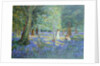 Bluebell Wood, 1908 by Robert Tyndall