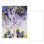 Gum Tree, Australia by Robert Tyndall