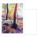 Bush Fire Survivors, Sydney, 1994 by Robert Tyndall