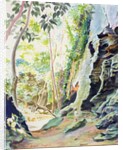 Rocks near Nowra, N.S.W. Australia by Robert Tyndall