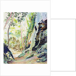 Rocks near Nowra, N.S.W. Australia by Robert Tyndall