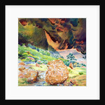 Aspects of Kata Tjuta I, Australia by Robert Tyndall