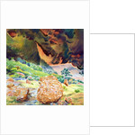 Aspects of Kata Tjuta I, Australia by Robert Tyndall