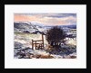 Sussex Stile, Winter, 1996 by Robert Tyndall