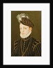 Portrait of Charles IX by Francois Clouet