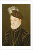 Portrait of Charles IX by Francois Clouet