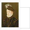 Portrait of Charles IX by Francois Clouet