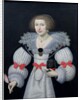Portrait of a lady holding a dog and a tulip, c.1620 by English School