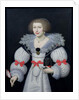 Portrait of a lady holding a dog and a tulip, c.1620 by English School