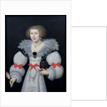 Portrait of a lady holding a dog and a tulip, c.1620 by English School