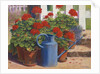 Blue Watering Can, 1995 by Anthony Rule