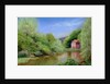 Down Stream to the Mill, 2010 by Anthony Rule
