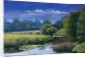 Quiet Flows the Stour, 2006 by Anthony Rule