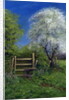 Springtime by the Stile, 2013 by Anthony Rule