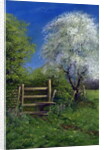 Springtime by the Stile, 2013 by Anthony Rule
