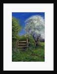 Springtime by the Stile, 2013 by Anthony Rule