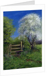 Springtime by the Stile, 2013 by Anthony Rule