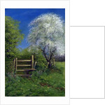 Springtime by the Stile, 2013 by Anthony Rule