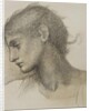 Study of a Head, for 'The Mill', c.1872-80 by Edward Coley Burne-Jones