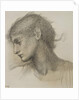 Study of a Head, for 'The Mill', c.1872-80 by Edward Coley Burne-Jones