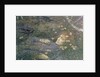 Oh Whats That in the Hollow?' by Edward Robert Hughes