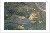 Oh Whats That in the Hollow?' by Edward Robert Hughes