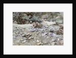 River Bed by John Singer Sargent