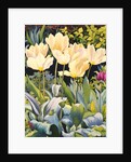 Pale Tulips by Christopher Ryland
