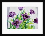 Purple Fringe Tulips, 2015 by Christopher Ryland