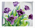 Purple Fringe Tulips, 2015 by Christopher Ryland