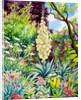Garden with Flowering Yucca, 2014 by Christopher Ryland