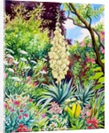 Garden with Flowering Yucca, 2014 by Christopher Ryland