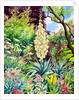 Garden with Flowering Yucca, 2014 by Christopher Ryland