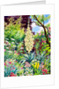 Garden with Flowering Yucca, 2014 by Christopher Ryland