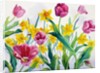 Daffodils and Tulips by Christopher Ryland