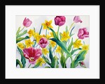 Daffodils and Tulips by Christopher Ryland