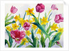 Daffodils and Tulips by Christopher Ryland