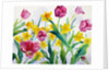 Daffodils and Tulips by Christopher Ryland