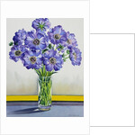 Scabious with Yellow Band, 2015 by Christopher Ryland