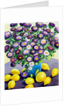Purple Asters and Lemons by Christopher Ryland