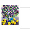 Purple Asters and Lemons by Christopher Ryland
