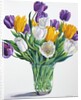 Tulips in Glass Vase, 2015 by Christopher Ryland
