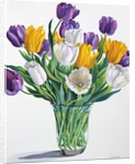 Tulips in Glass Vase, 2015 by Christopher Ryland