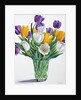 Tulips in Glass Vase, 2015 by Christopher Ryland